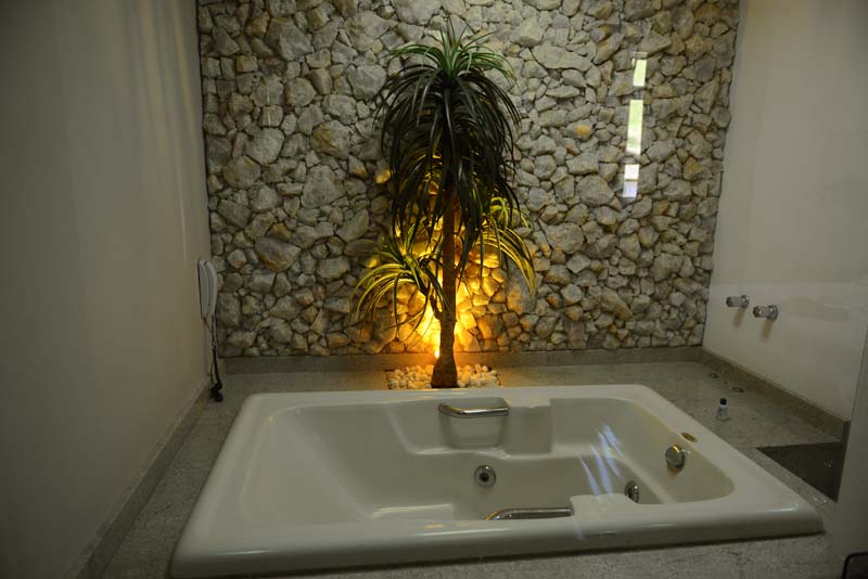 clarear um pouco e inserir.jpg